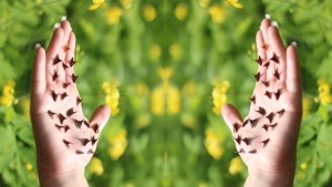 Természetművészet