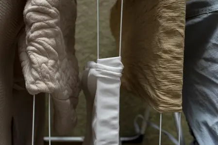 Tér, ami körbevesz (2024)