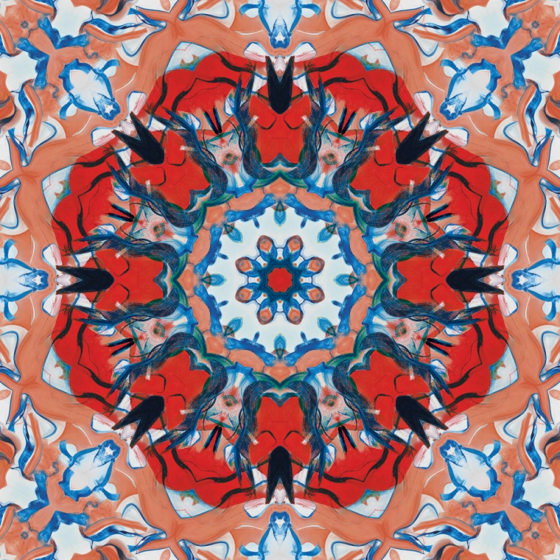 De Kooning 01B (Kaleidoscopic Fusion XIX)