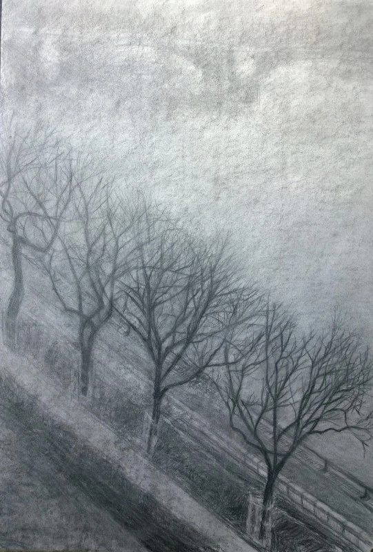 Ködös Margit híd  rakparti fákkal