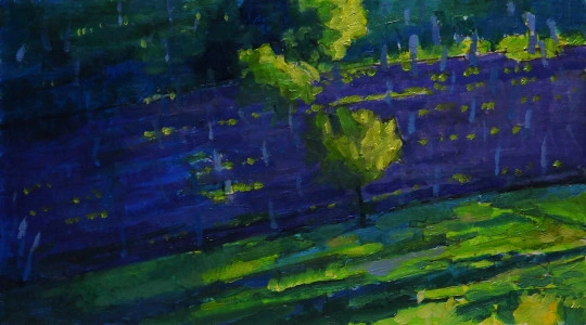 Szőlők, dombok VI.