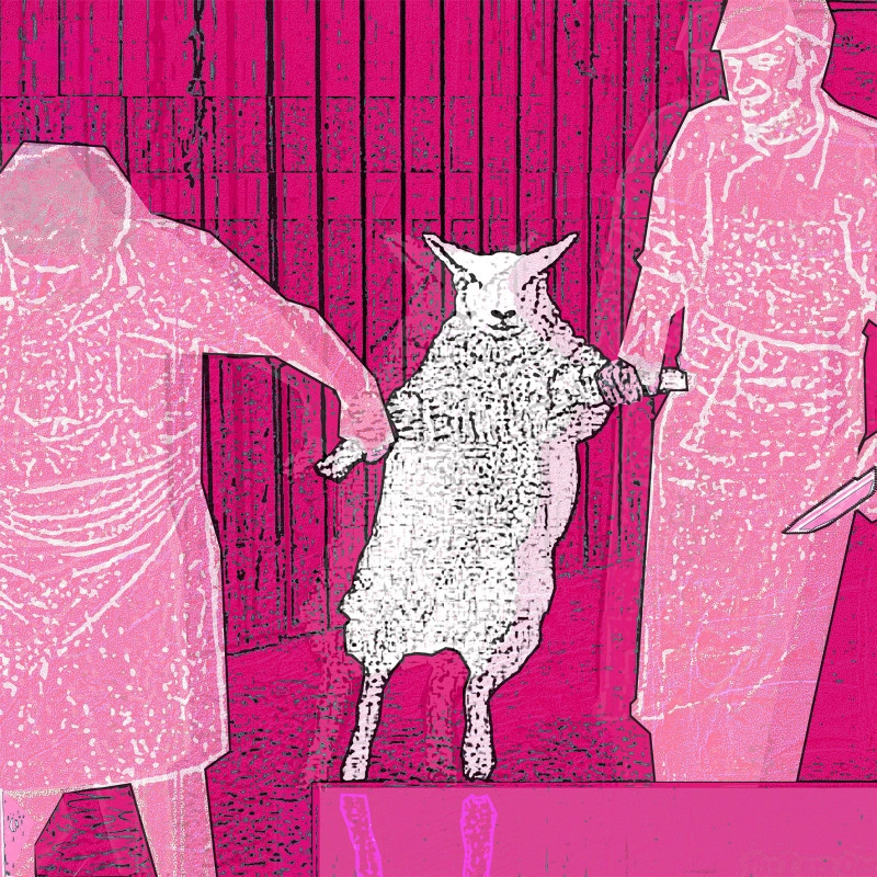 Ments meg minket, Bárányunk