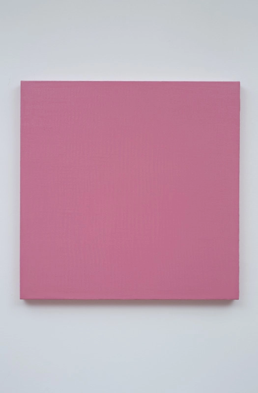 Untitled/pink