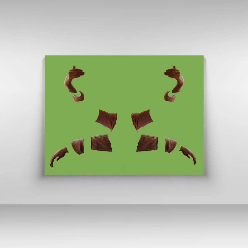 A pillangó szárnyalása