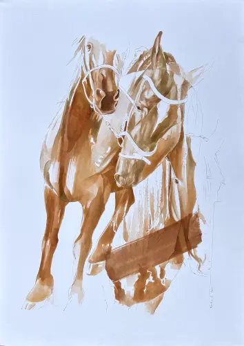 Lófejek és tekintetek