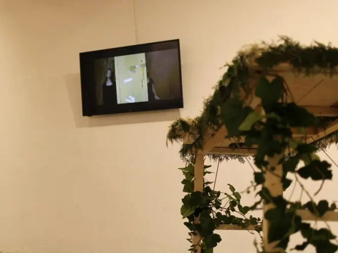 Ökoszisztéma szolgáltatások - Rekreáció