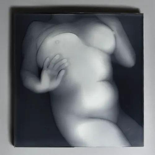 Hypnogram (részlet)