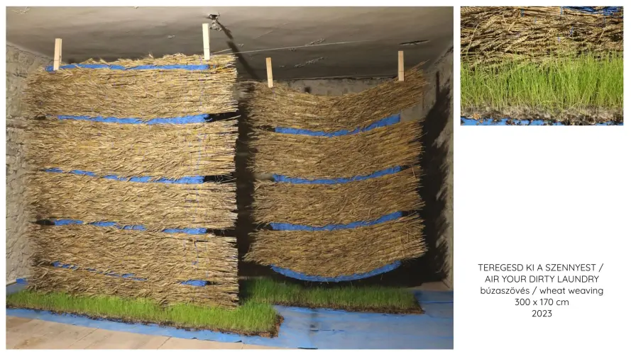 TEREGESD KI A SZENNYEST