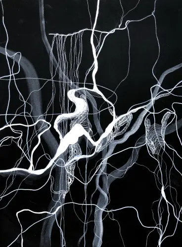 Fehér fűz gyökerek II.