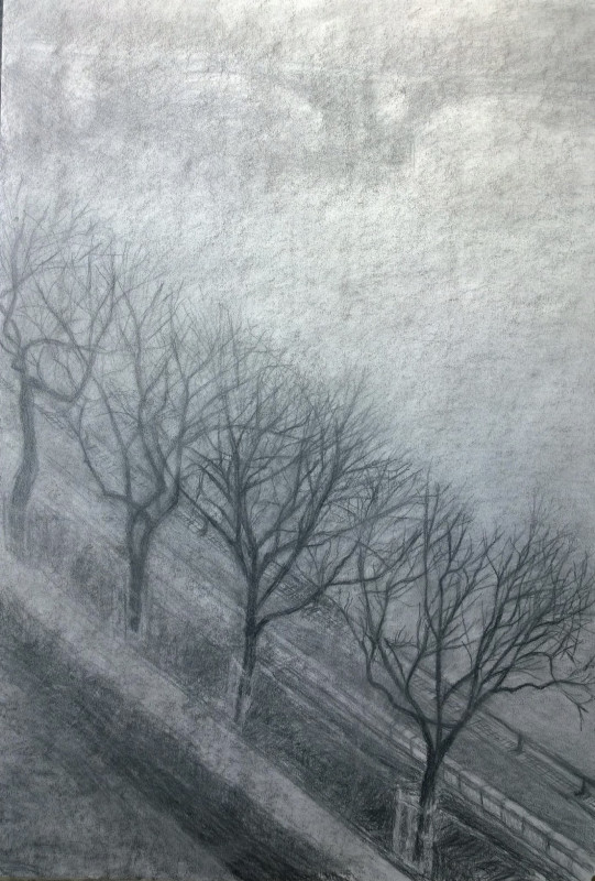 Ködös Margit híd  rakparti fákkal