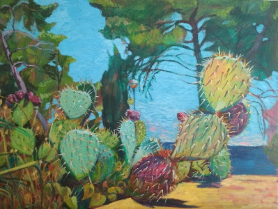 Kaktuszok