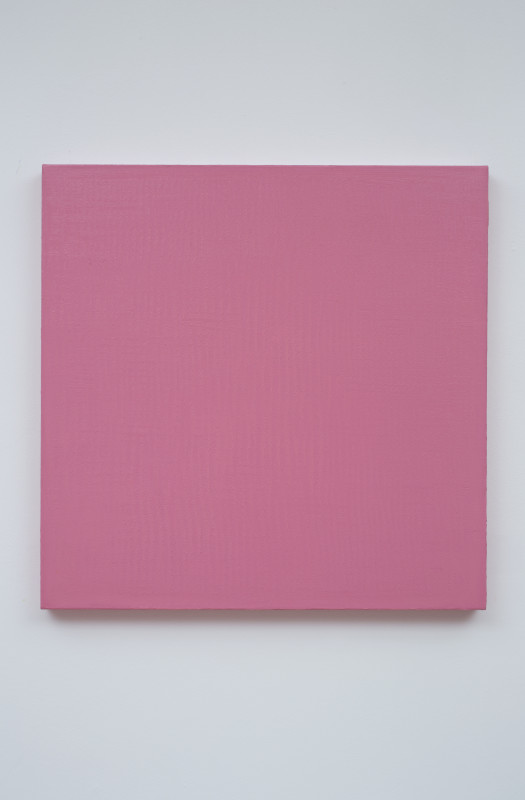 Untitled/pink