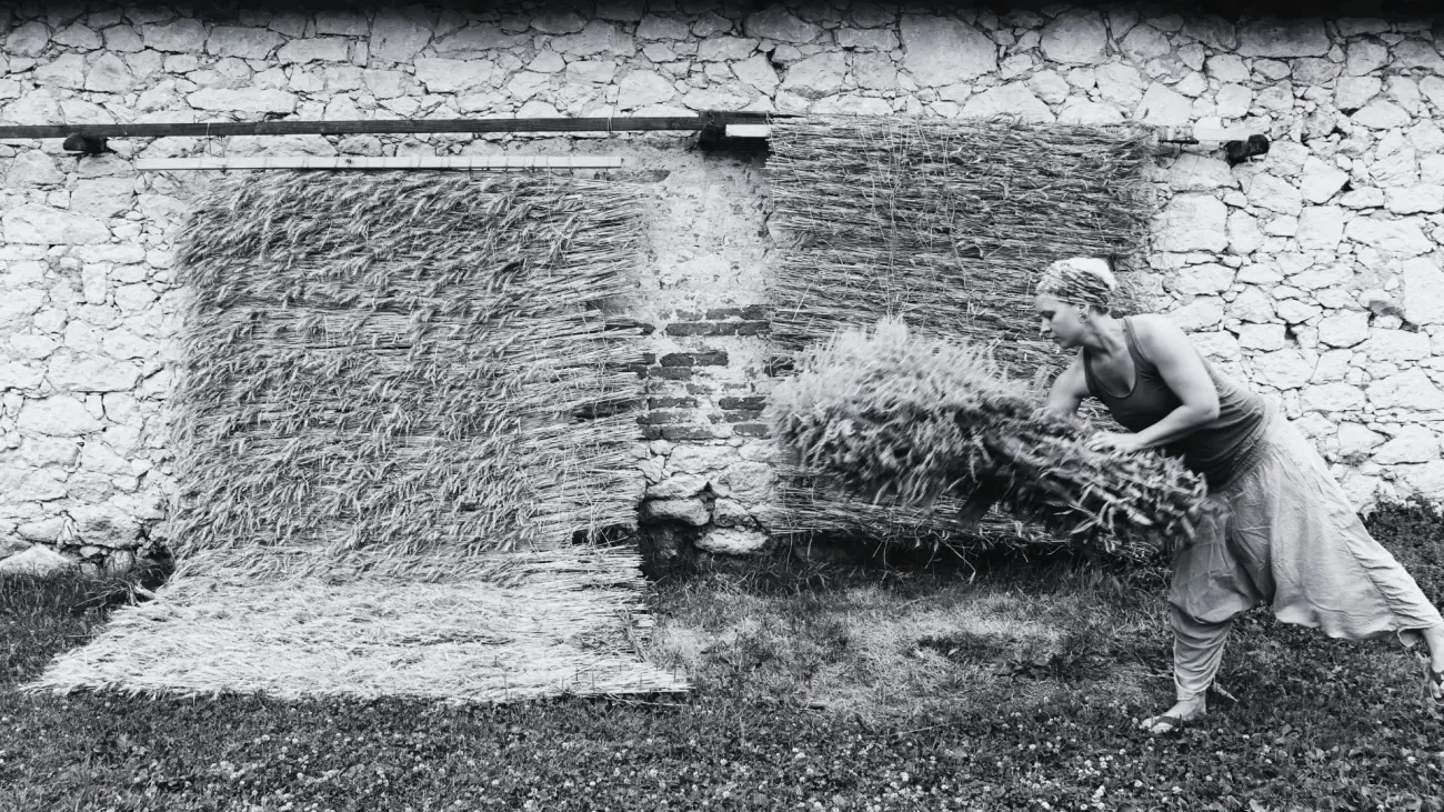 Tóth- Szunyog Júlia